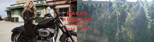гашик Волосово