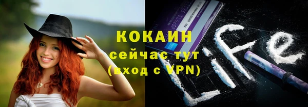 гашик Волосово