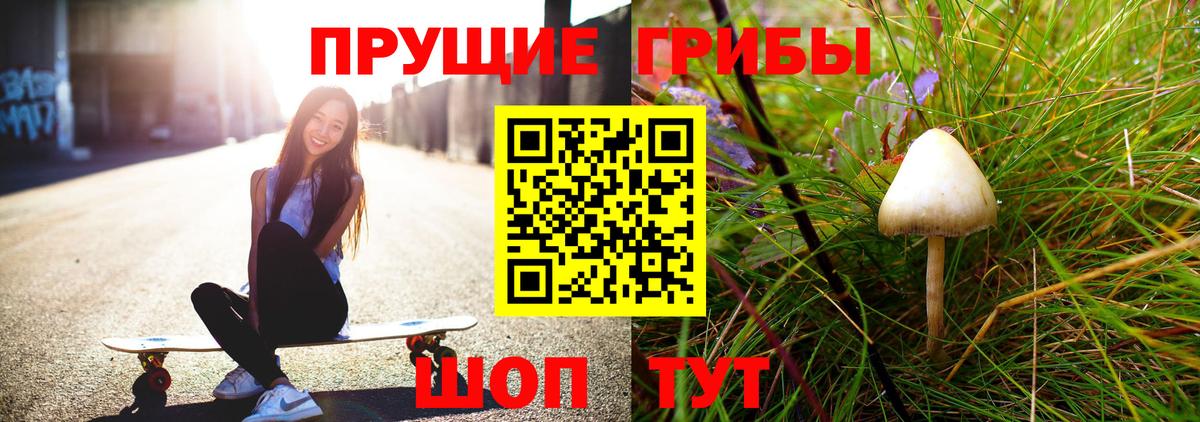 Псилоцибиновые грибы Psilocybine cubensis Городец